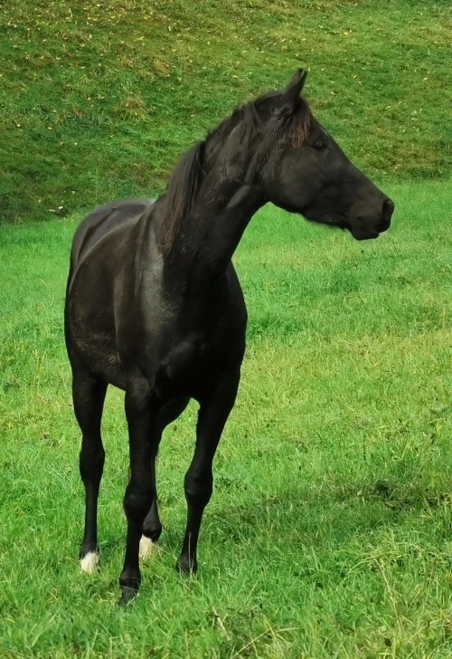 k3j